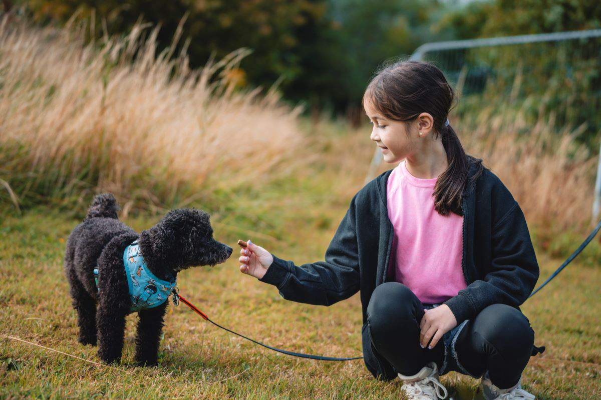 Niña dándole un premio a un perro negro con correa al aire libre.