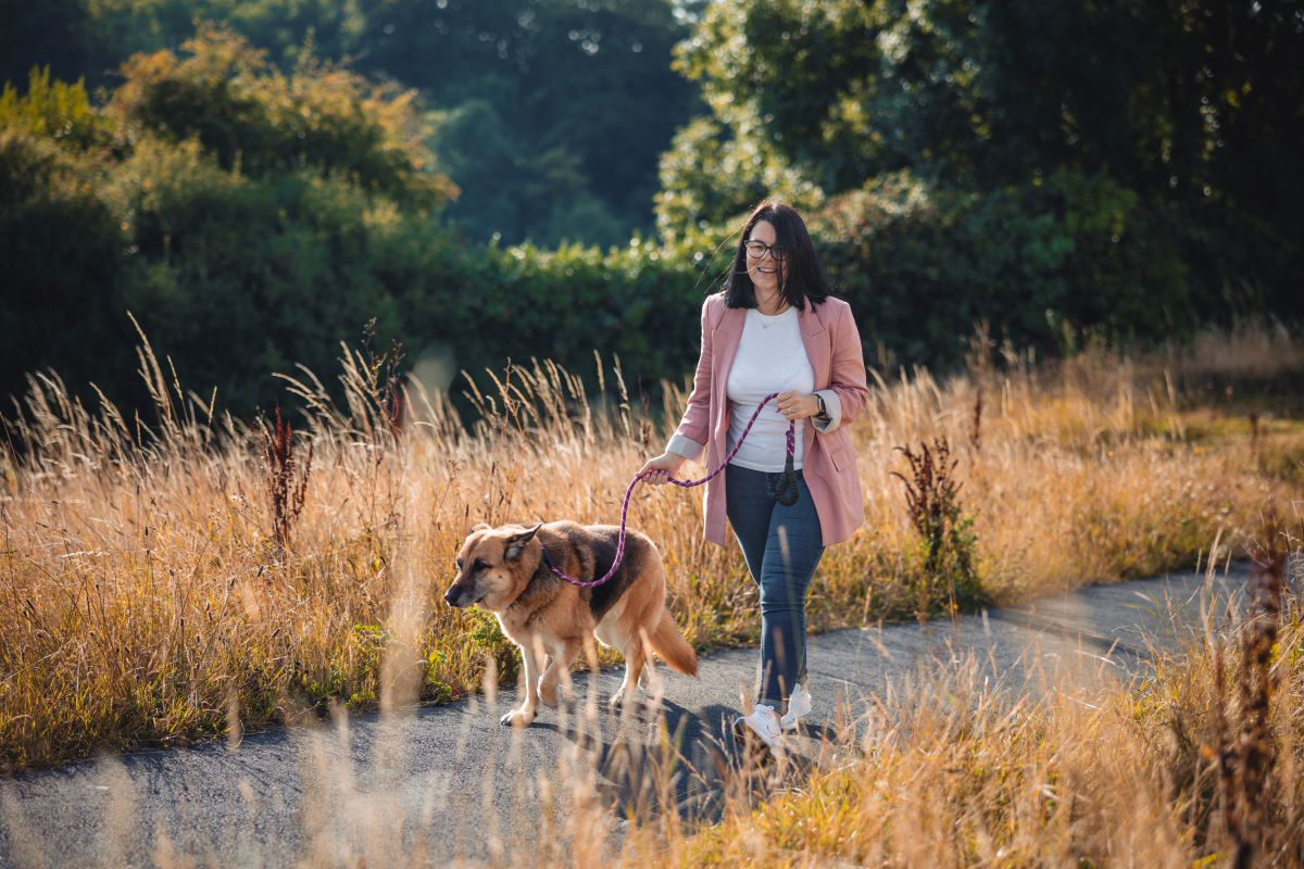 Mujer paseando a un perro por un sendero a través de un campo en un día soleado.