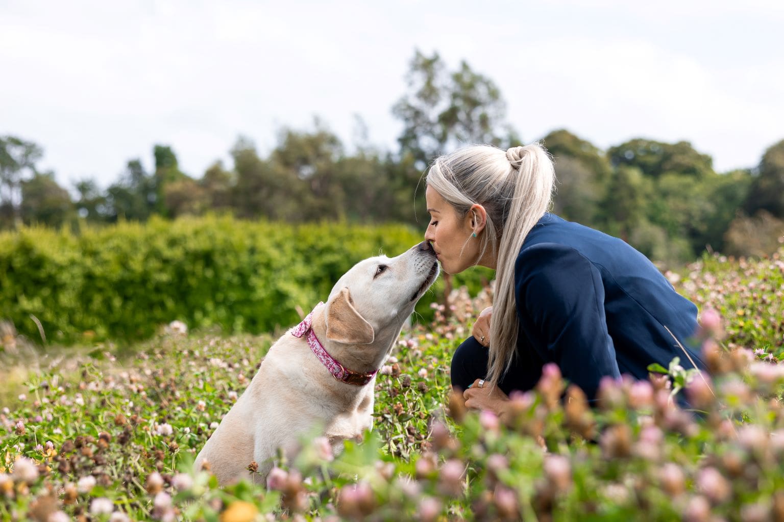 Dog health and care