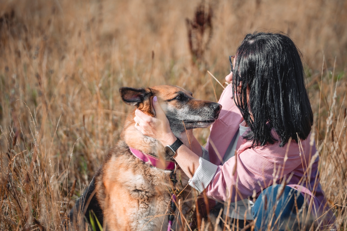 Dog health and care